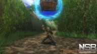 Final Fantasy Crystal Chronicles: The Crystal Bearers [Wii]