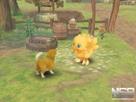 Final Fantasy Fables: Chocobo's Dungeon [Wii]