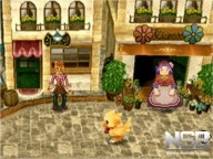 Final Fantasy Fables: Cid and Chocobo's Dungeon [DS]