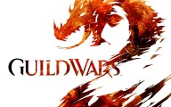 Guild Wars 2 [PC]