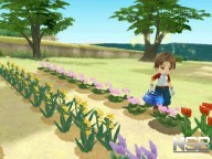 Harvest Moon: Animal Parade [Wii]