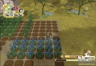 Harvest Moon: Tree of Tranquility [Wii]