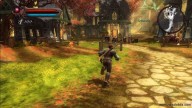 Kingdoms of Amalur: Reckoning [Xbox 360]