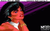 Leisure Suit Larry III: Passionate Patti in Pursuit of the Pulsating Pectorals [PC]