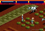 Light Crusader [Mega Drive][Wii]