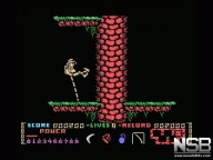 Livingstone Supongo II [MSX]