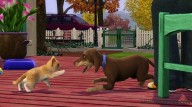 Los Sims 3: ¡Vaya fauna! [Xbox 360]