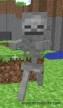 Minecraft [Mac]