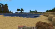 Minecraft [Mac]