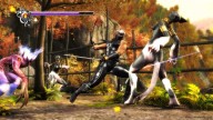 Ninja Gaiden Sigma [PlayStation 3]