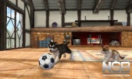 Nintendogs + Cats: Bulldog Francés y sus nuevos amigos [3DS]