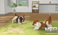 Nintendogs + Cats: Bulldog Francés y sus nuevos amigos [3DS]