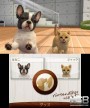 Nintendogs + Cats: Bulldog Francés y sus nuevos amigos [3DS]