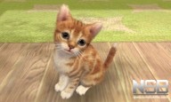 Nintendogs + Cats: Caniche Toy y sus nuevos amigos [3DS]