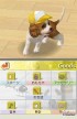 Nintendogs: Chihuahua y Compañía [DS]