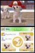 Nintendogs: Chihuahua y Compañía [DS]