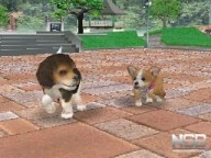 Nintendogs: Chihuahua y Compañía [DS]