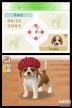 Nintendogs: Chihuahua y Compañía [DS]