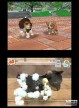 Nintendogs: Chihuahua y Compañía [DS]