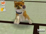 Nintendogs: Chihuahua y Compañía [DS]