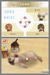 Nintendogs: Dachshund y Compañía [DS]