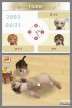 Nintendogs: Shiba & Friends [DS]