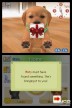 Nintendogs: Shiba & Friends [DS]