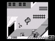 Paperboy [Game Boy]