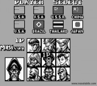 Street Fighter II [Game Boy]