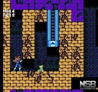 Strider [NES]