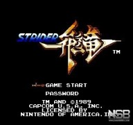 Strider [NES]