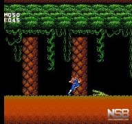 Strider [NES]