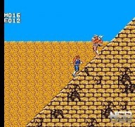 Strider [NES]