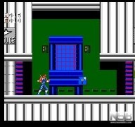 Strider [NES]