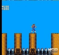 Strider [NES]