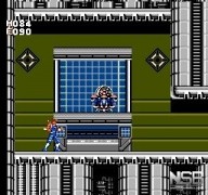 Strider [NES]