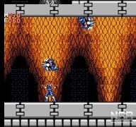 Strider [NES]