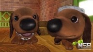 The Dog Island [PlayStation 2][Wii]