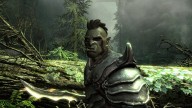 The Elder Scrolls V: Skyrim [PC][PlayStation 3][Xbox 360]