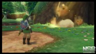 The Legend of Zelda: Skyward Sword [Wii]