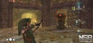 The Legend of Zelda: Twilight Princess [Wii]