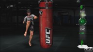 UFC Personal Trainer [PlayStation 3][Wii][Xbox 360]