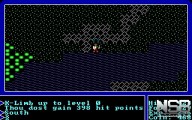 Ultima I: The First Age of Darkness [PC]