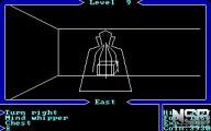Ultima I: The First Age of Darkness [PC]