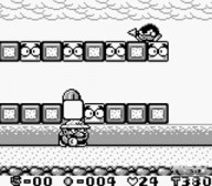 Wario Land: Super Mario Land 3 [Game Boy]