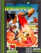 Guia de personajes y pistas para Windjammers