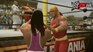WWE 2K14 [Xbox 360][PlayStation 3][PlayStation Network (PS3)]