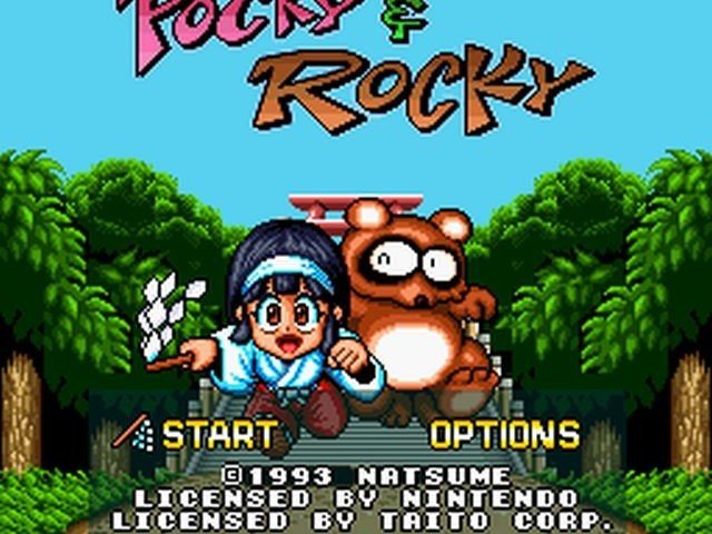 Retro Review de Pocky & Rocky 1