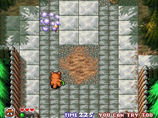 Retro Review de Pocky & Rocky 11