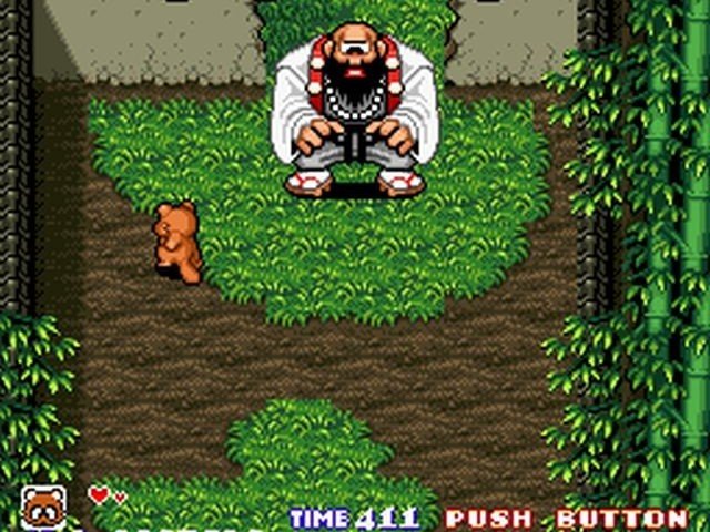 Retro Review de Pocky & Rocky 20